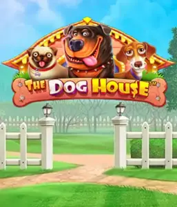 From Pragmatic Play comes The Dog House, featuring an adorable adventure through playful pups. Discover features such as multipliers, perfect for delivering entertaining gameplay. A must-try for those who enjoy a cheerful theme and the opportunity to win big.