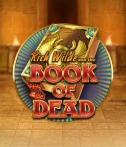 Dive into the thrilling world of Book of Dead Slot by Play'n GO, featuring vivid graphics of Rich Wilde’s adventurous journey through ancient Egyptian tombs and artifacts. Uncover lost riches with captivating mechanics like free spins, expanding symbols, and a gamble option. Ideal for those seeking adventure with a desire for thrilling discoveries.